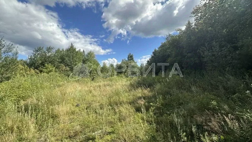 Участок в Тюменская область, Тюмень пос. Букино, ул. Сосновая (9.0 ... - Фото 2