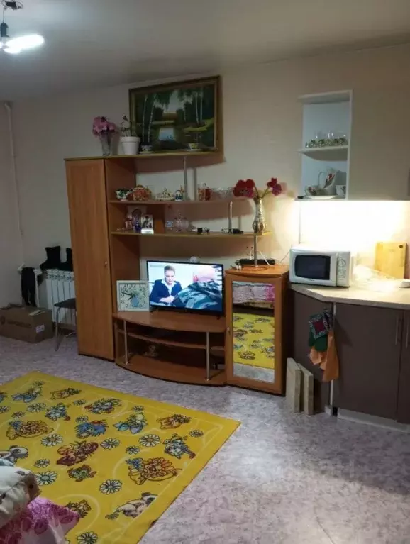 1-к кв. Татарстан, Набережные Челны ул. Жемчужная, 38 (30.0 м) - Фото 1