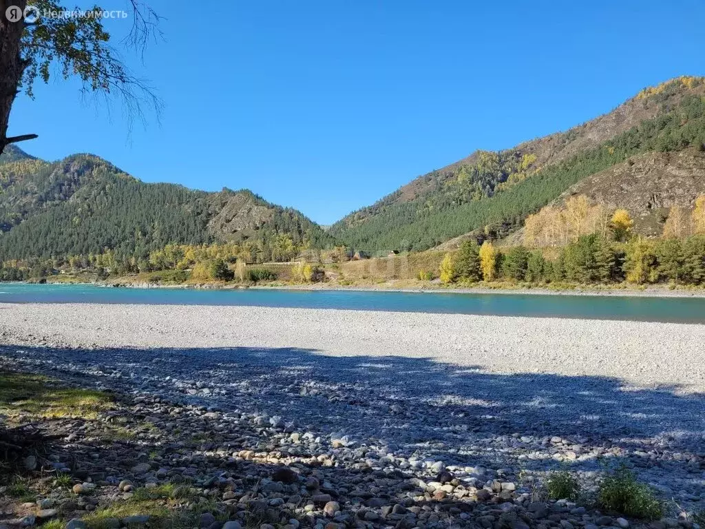 Участок в Республика Алтай, Горно-Алтайск (10 м) - Фото 1