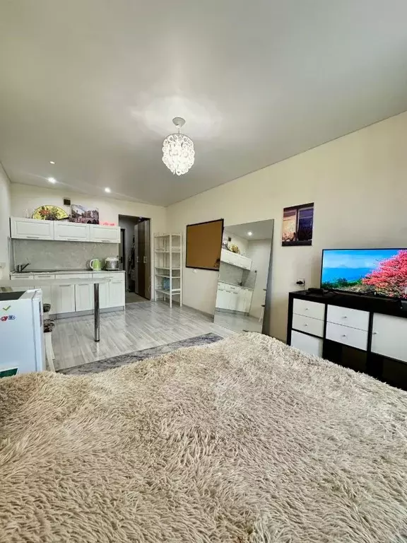 Студия Кировская область, Киров Заводская ул., 4 (23.3 м) - Фото 0