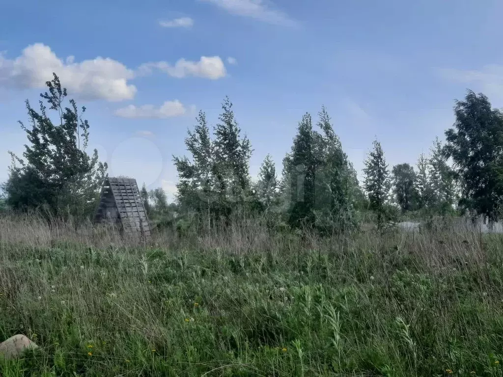 Участок 10 сот. (ИЖС) - Фото 1