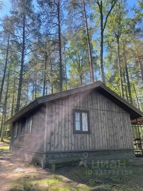Комната Ленинградская область, Ломоносовский район, Лебяженское ... - Фото 1