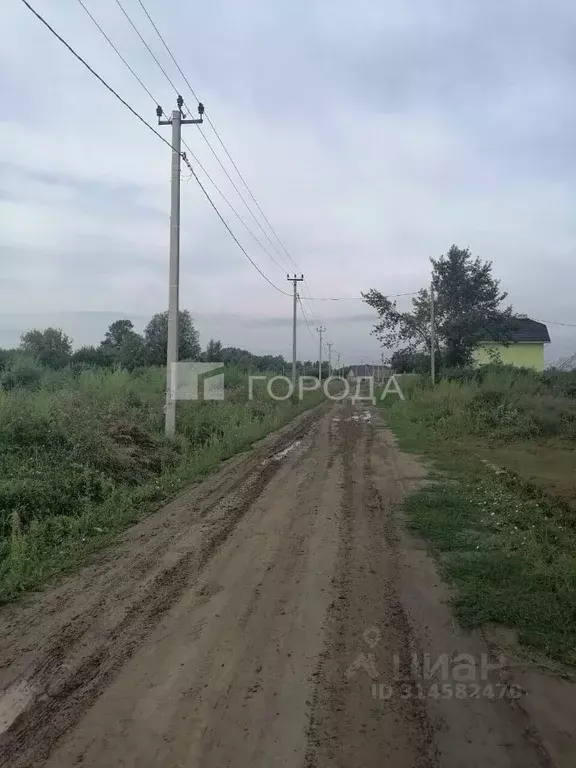 Участок в Алтайский край, Первомайский район, с. Фирсово ул. Яркая ... - Фото 0