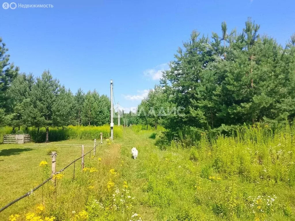 Участок в Безводное, жилой посёлок Резиденция Безводное (18 м) - Фото 1