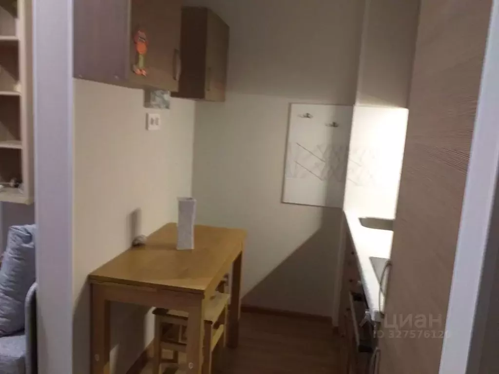 Студия Санкт-Петербург ул. Адмирала Трибуца, 7 (25.0 м) - Фото 1