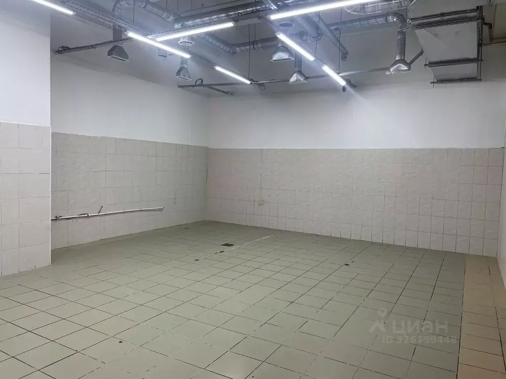 Помещение свободного назначения в Санкт-Петербург пос. Шушары, ... - Фото 1