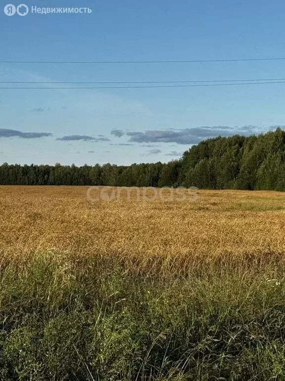 Участок в Тюменский район, Горьковское муниципальное образование (8.3 ... - Фото 1