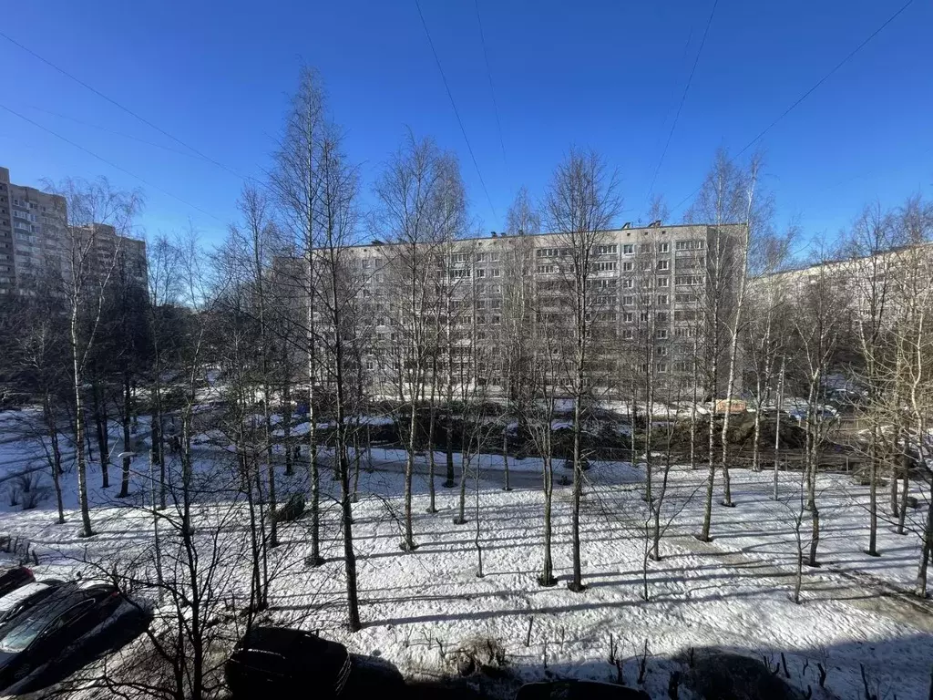 1-к кв. Санкт-Петербург просп. Луначарского, 37к2 (31.7 м) - Фото 2