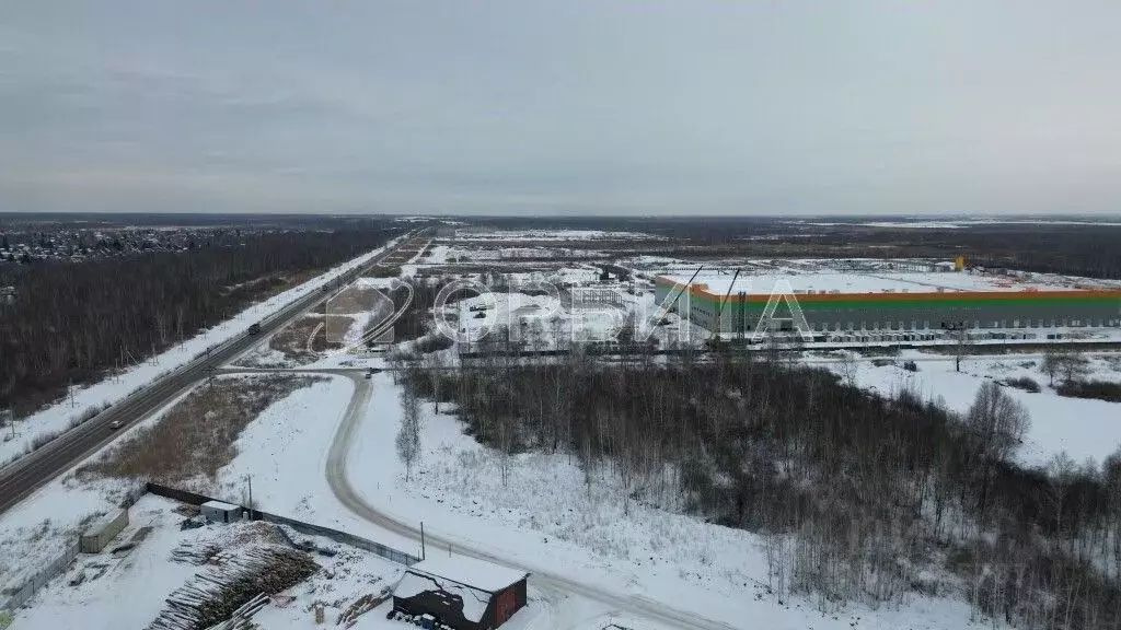 Участок в Тюменская область, Тюмень Велижанский тракт, 7-й км (710.0 ... - Фото 1