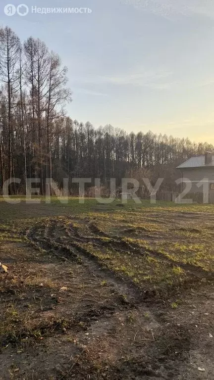 Участок в Ульяновск, СНТ Ёлочка (3.25 м) - Фото 2