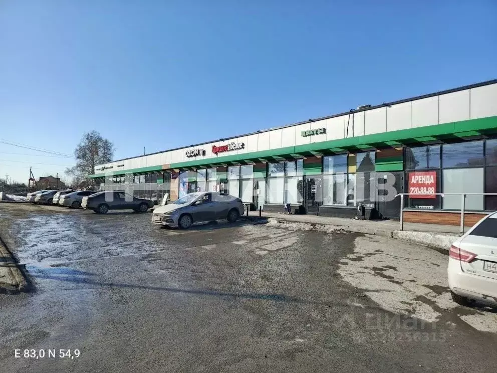 Помещение свободного назначения в Новосибирская область, Новосибирск ... - Фото 1
