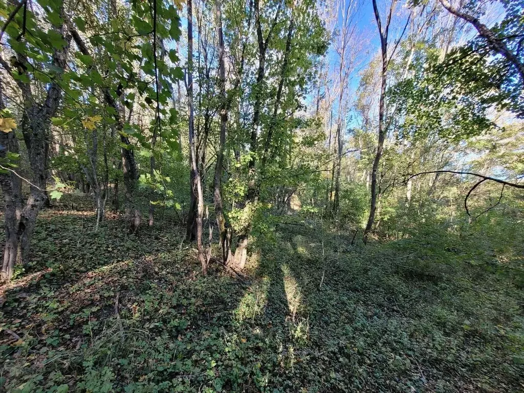 Участок в Краснодарский край, Северский район, Азовское с/пос, ... - Фото 1
