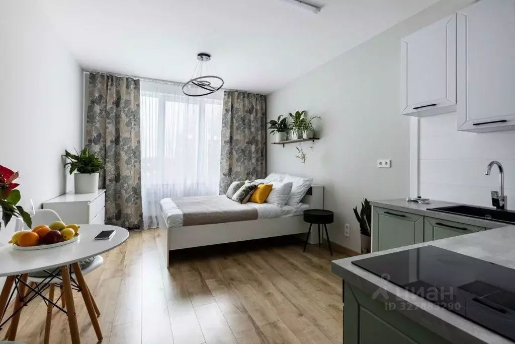 Студия Санкт-Петербург Витебский просп., 99к1 (24.0 м) - Фото 2