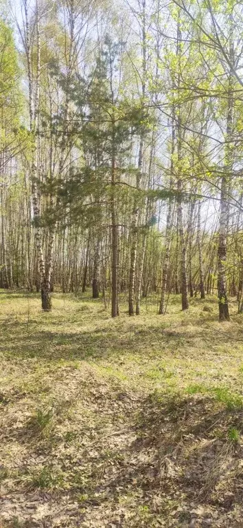 Участок в Тульская область, Заокский район, Страховское с/пос, д. ... - Фото 1
