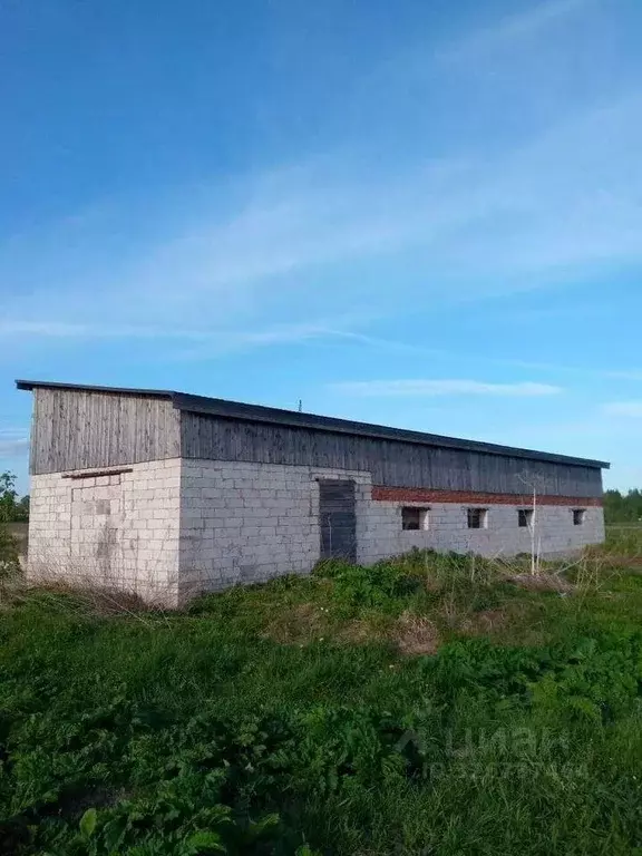 Участок в Новгородская область, Новгородский район, Бронницкое с/пос, ... - Фото 2