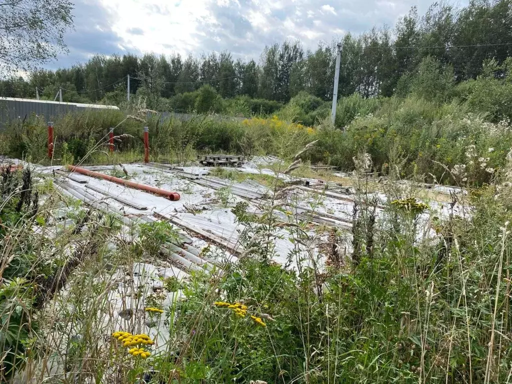Участок в Московская область, Павлово-Посадский городской округ, д. ... - Фото 0