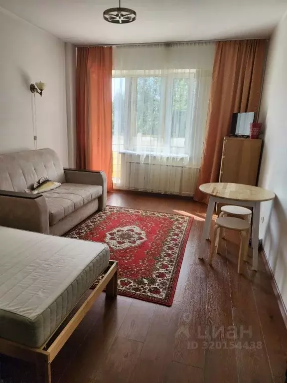 Студия Санкт-Петербург ул. Софьи Ковалевской, 16к5 (27.0 м) - Фото 1