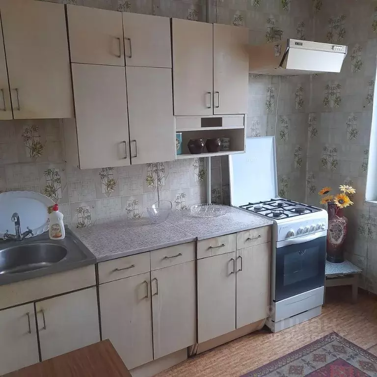 1-к кв. Омская область, Омск пос. Кордный, ул. 4-я Кордная, 48 (36.0 ... - Фото 1