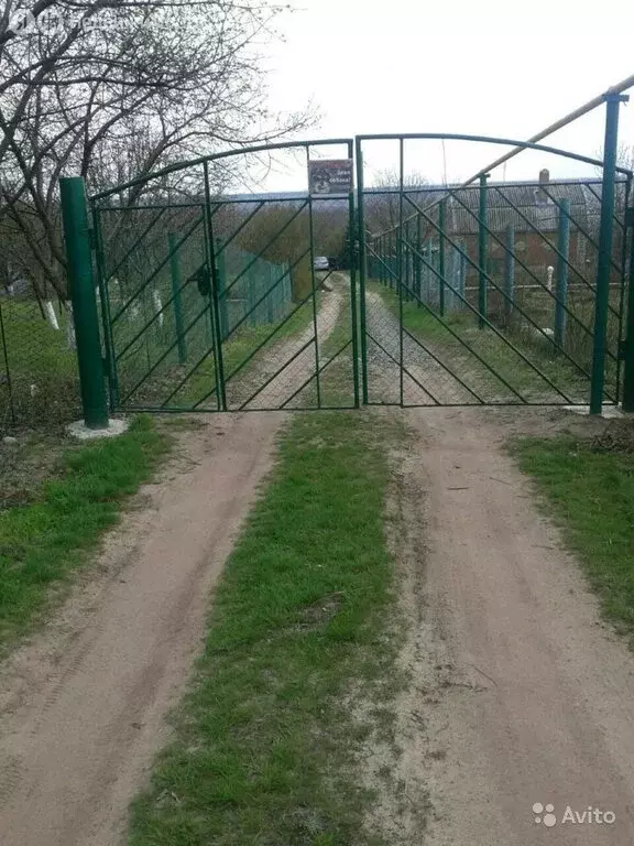 Участок в посёлок городского типа Усть-Донецкий, садоводческое ... - Фото 0