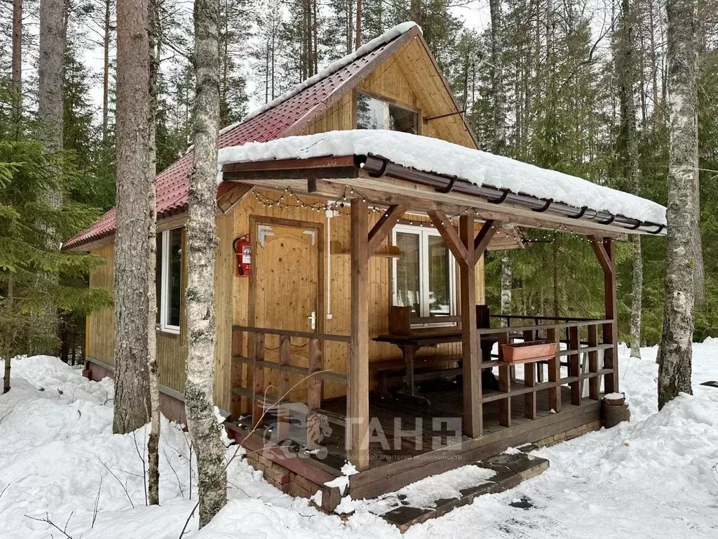 Помещение свободного назначения в Ленинградская область, Приозерский ... - Фото 2