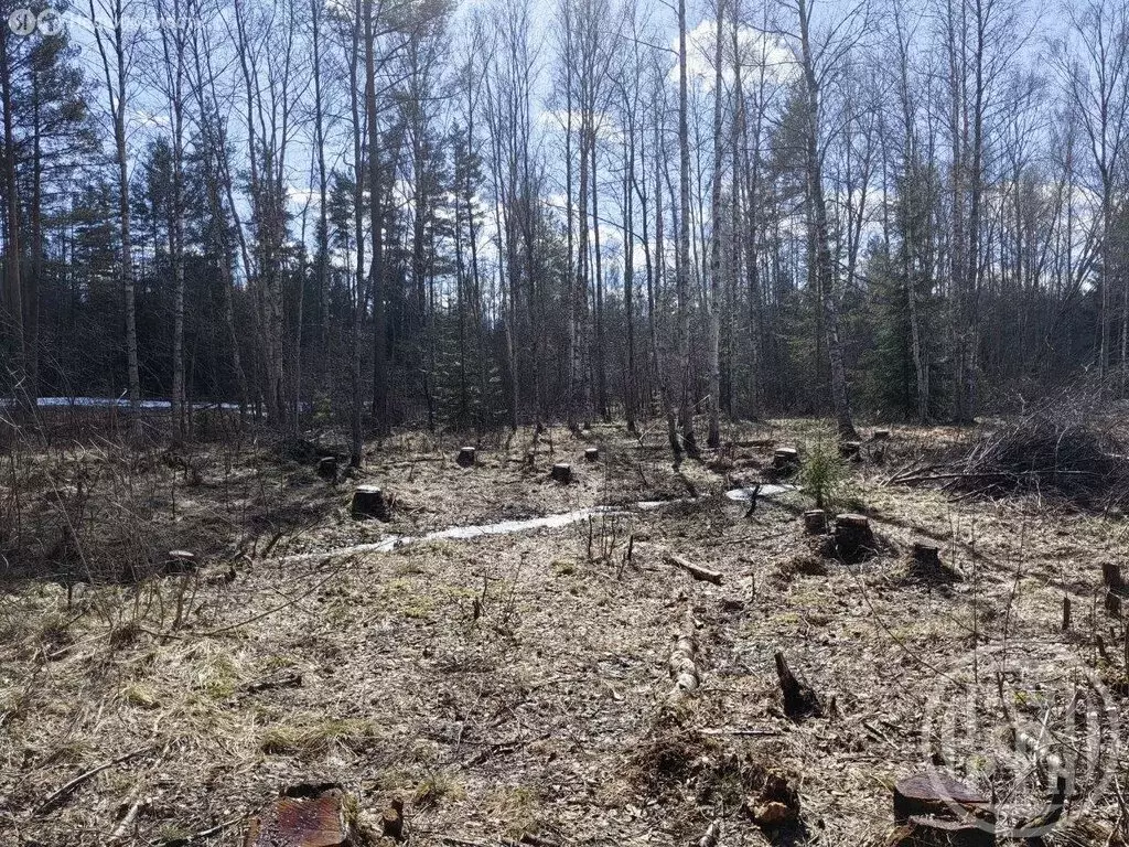 Участок в посёлок Сосново, Шушенская улица, 13 (9 м) - Фото 2