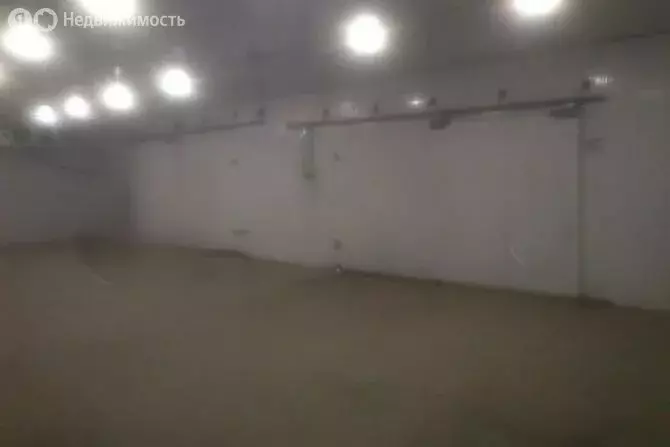 Помещение свободного назначения (50 м) - Фото 0