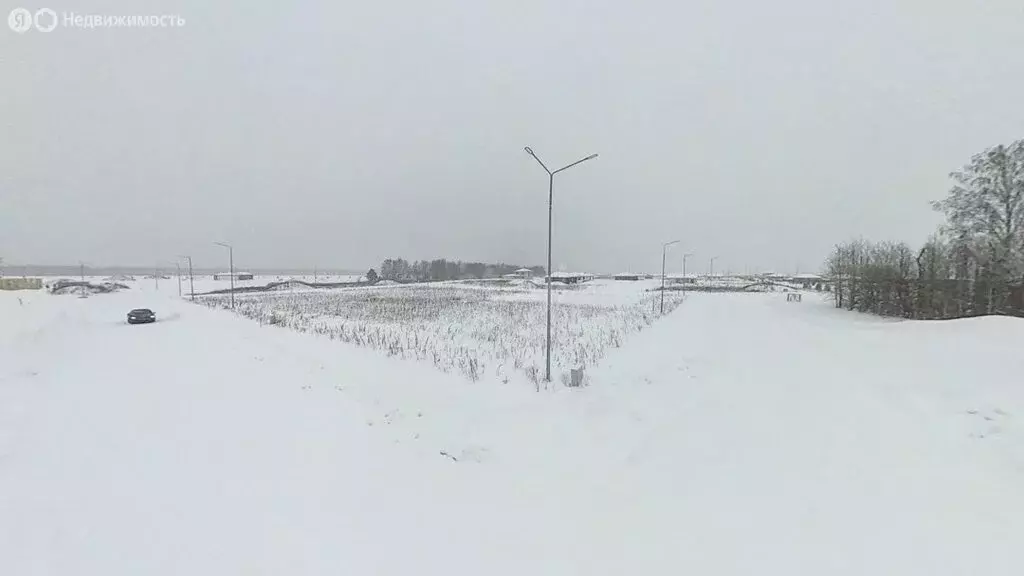 Участок в Тюменский муниципальный округ, коттеджный посёлок Онегин ... - Фото 2