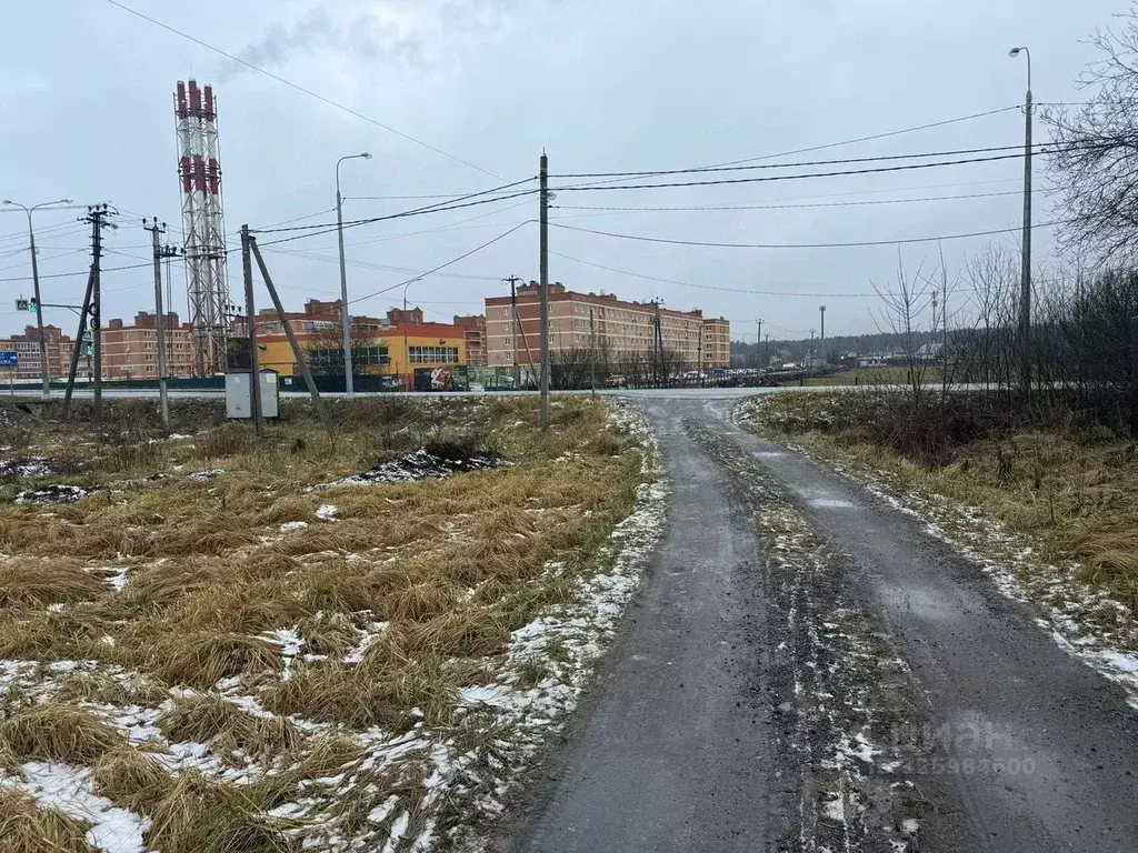 Участок в Московская область, Щелково городской округ, д. Большие ... - Фото 1