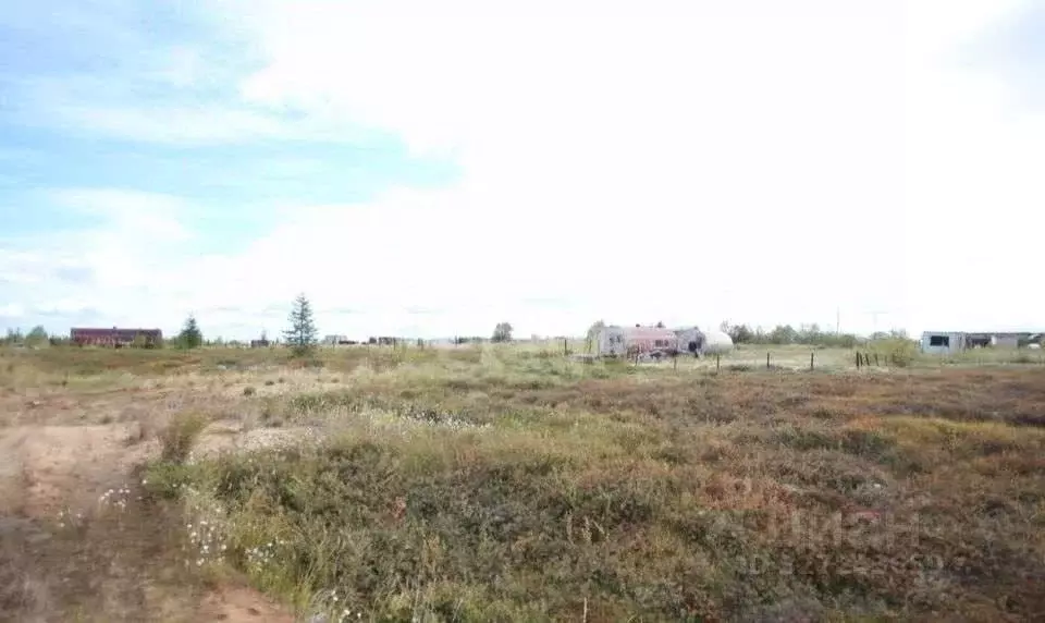 Участок в Ямало-Ненецкий АО, Новый Уренгой Дружба ТСН, проезд 8-й ... - Фото 2