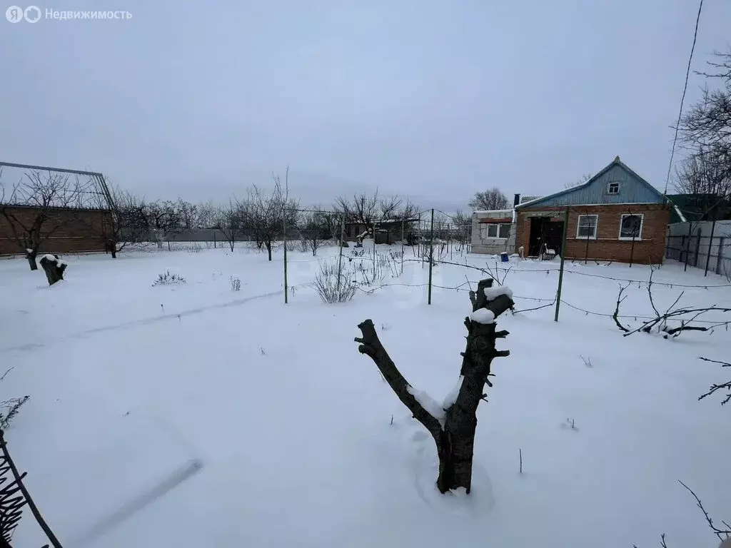 Дом в село Кулешовка, Вишнёвая улица (19 м) - Фото 1