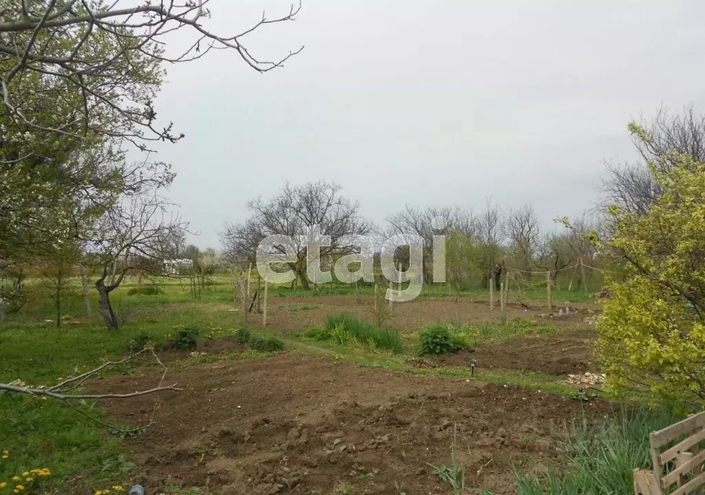 Дом в Крым, Черноморский район, Окуневское с/пос, с. Марьино ул. ... - Фото 1
