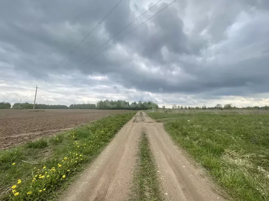 Участок в Костромская область, Красносельский район, Шолоховское ... - Фото 1