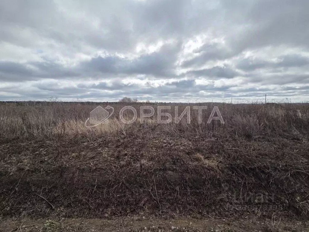 Участок в Тюменская область, Тюмень Садовое товарищество Липовый ... - Фото 1