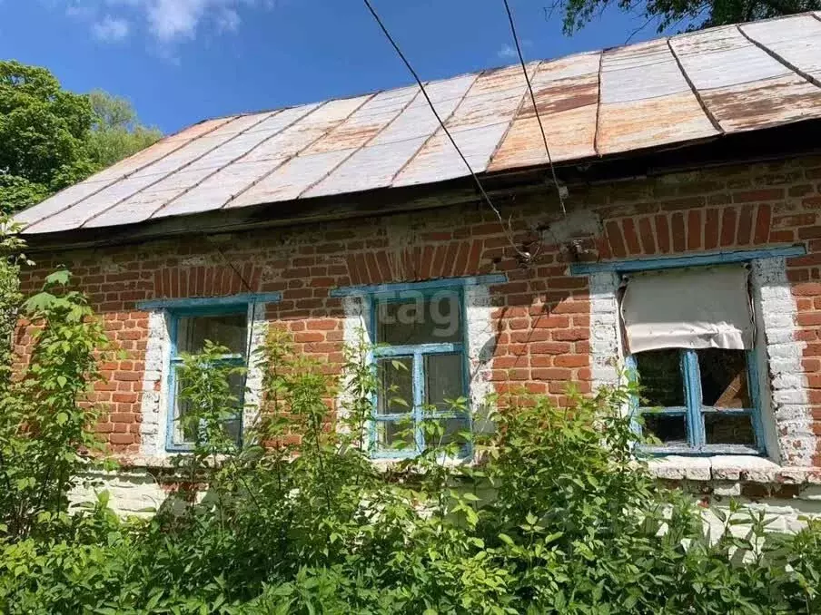 Участок в Липецкая область, Краснинский муниципальный округ, д. ... - Фото 1