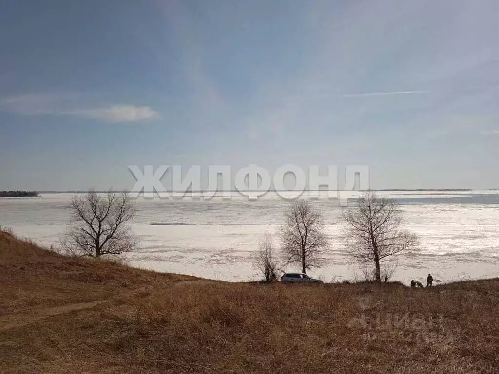 Участок в Новосибирская область, Новосибирский район, с. Боровое ул. ... - Фото 2