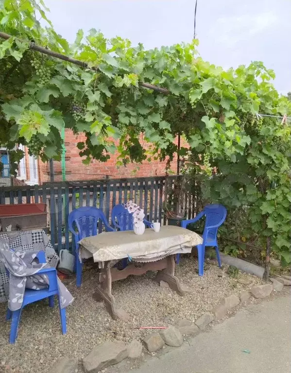 Дом 36 м на участке 2 сот. - Фото 1