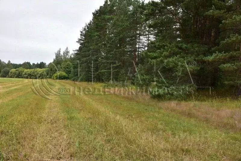 Участок в Ленинградская область, Выборгский район, Красносельское ... - Фото 0
