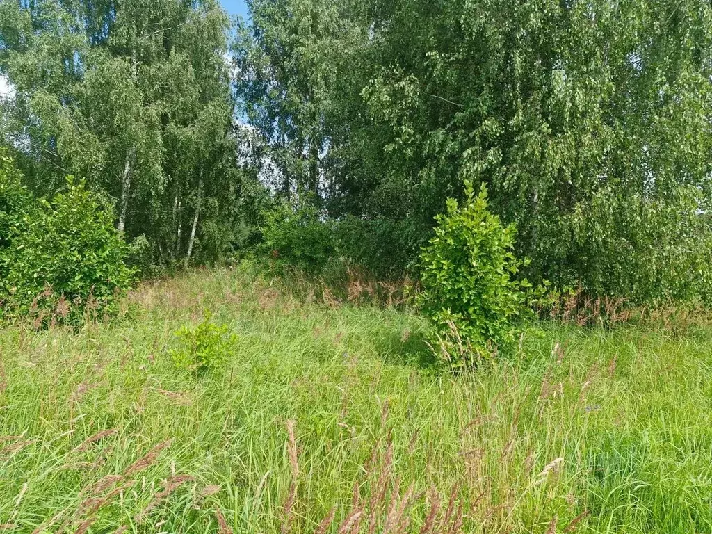 Участок в Московская область, Ступино городской округ, д. Кочкорево  ... - Фото 2
