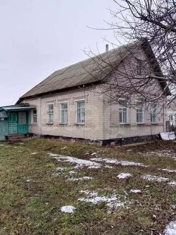 Дом в Липецкая область, с. Доброе пер. Набережный, 16 (50 м) - Фото 2