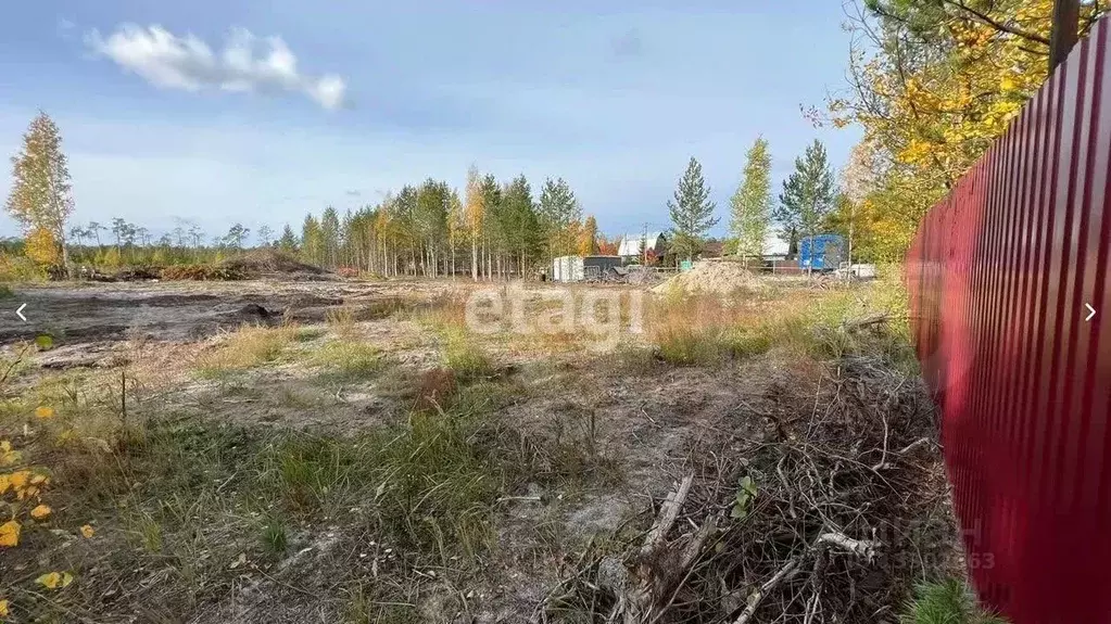 Участок в Ханты-Мансийский АО, Сургутского муниципального района тер., ... - Фото 1