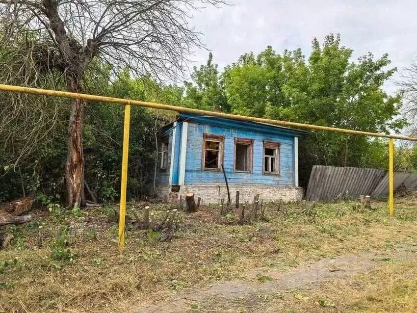 Участок в Белгородская область, Корочанский муниципальный округ, с. ... - Фото 1