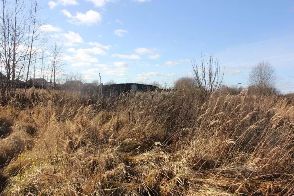 Участок в Москва д. Кузнецово, ул. Березовая, 69 (10.06 сот.) - Фото 2