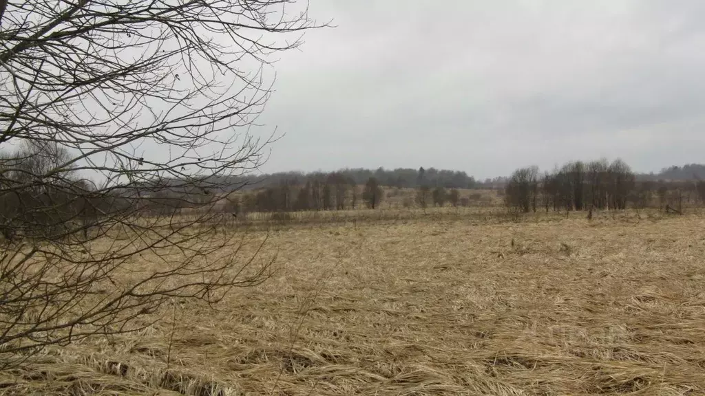 Участок в Московская область, Рузский муниципальный округ, д. ... - Фото 1