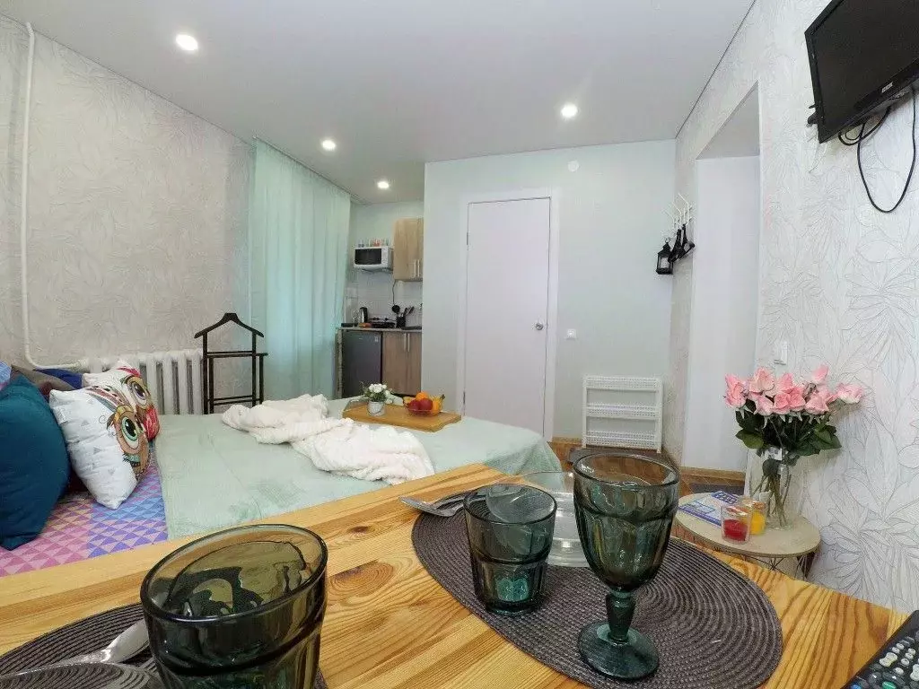 1-к кв. Татарстан, Казань Габдуллы Тукая ул., 9 (16.0 м) - Фото 1