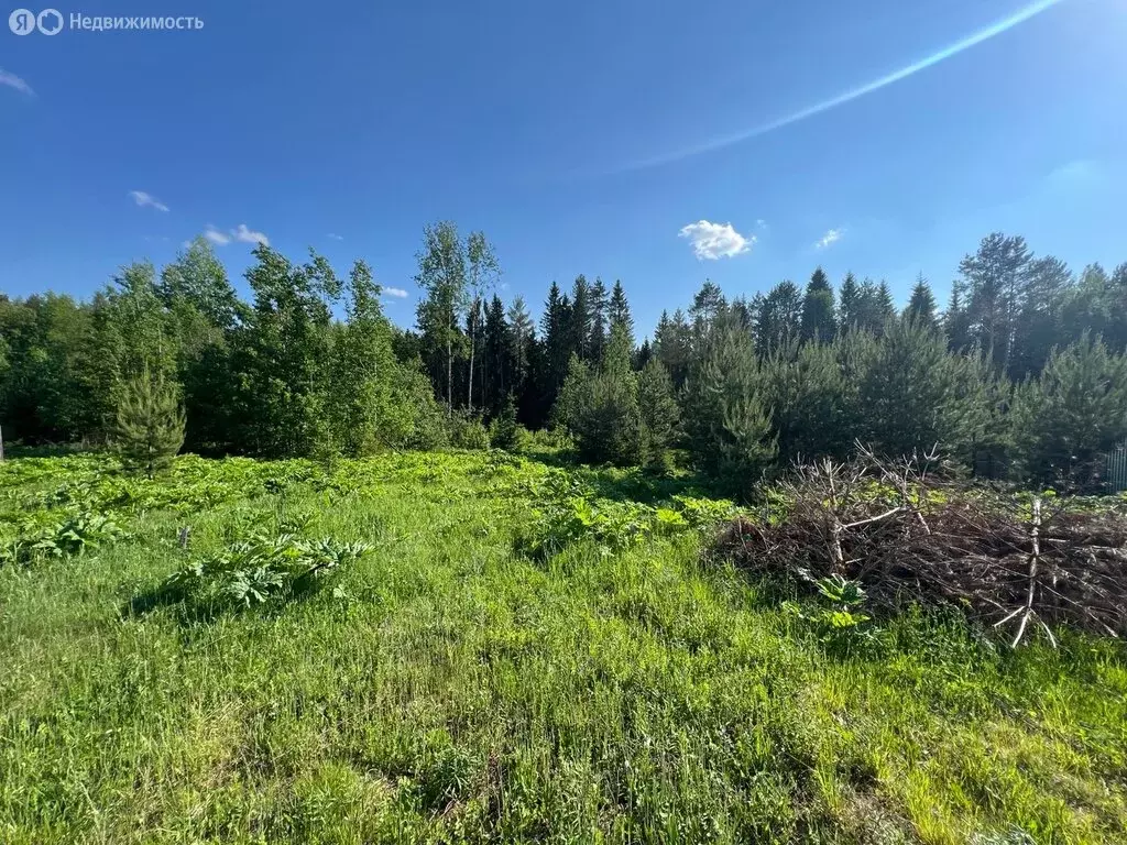 Участок в Березники, улица Александра Носкова, 6 (14.5 м) - Фото 1