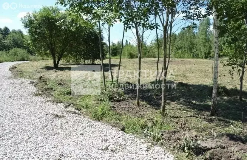 Участок в Московская область, городской округ Серпухов, деревня ... - Фото 2