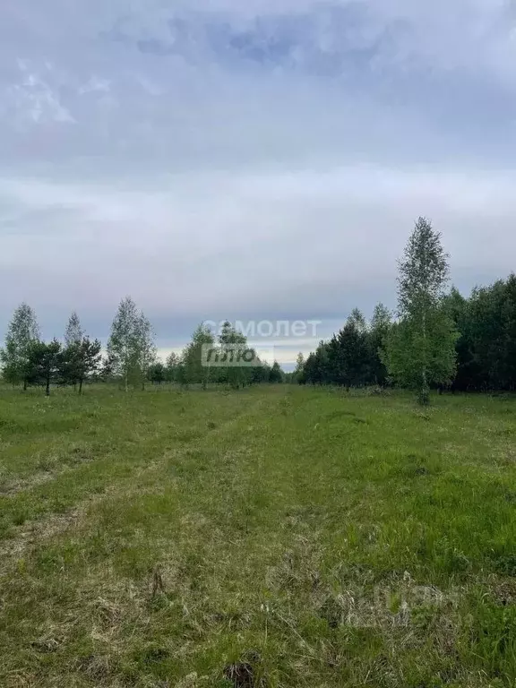 Участок в Иркутская область, Иркутский муниципальный округ, д. ... - Фото 1