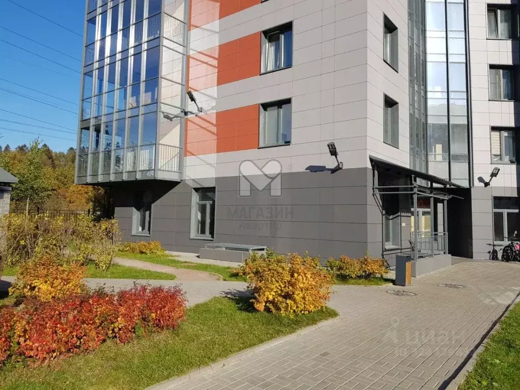 Торговая площадь в Санкт-Петербург пос. Парголово, дор. Ольгинская, ... - Фото 1