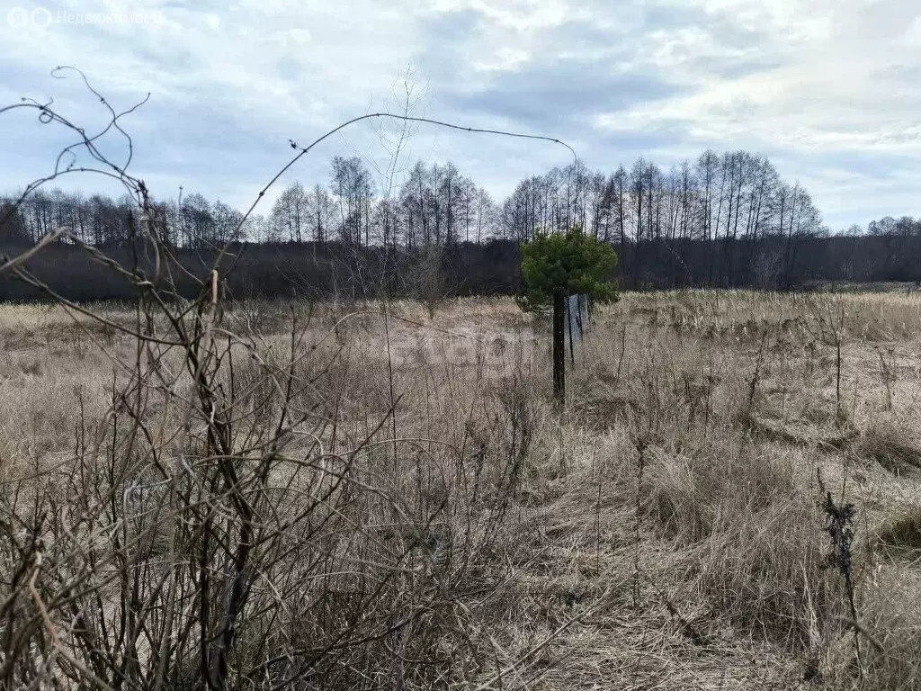 Участок в округ Муром, деревня Охеево, Зелёная улица (10.2 м) - Фото 1