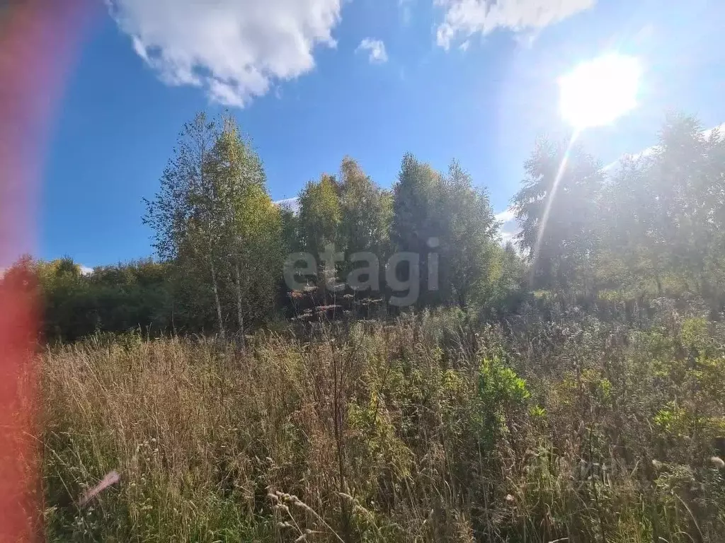 Участок в Новосибирская область, Новосибирск 2-й Биатлонный пер. (6.78 ... - Фото 2